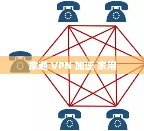 家通 VPN 加速 家用 家通 VPN 加速 家用