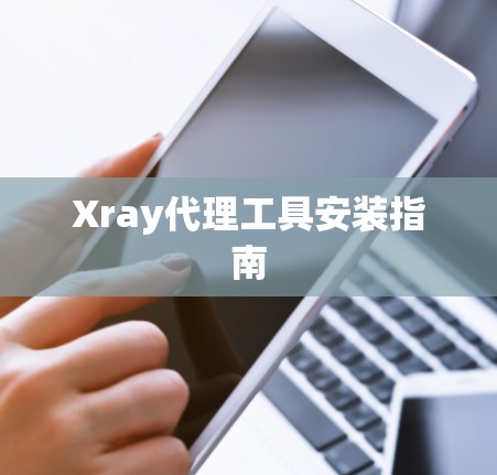Xray代理工具安装指南