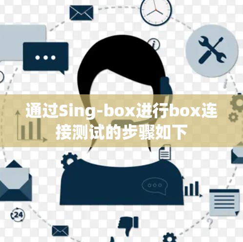 通过Sing-box进行box连接测试的步骤如下 通过Sing-box进行box连接测试的步骤如下