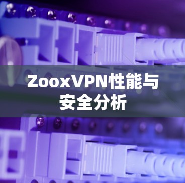 ZooxVPN性能与安全分析 ZooxVPN性能与安全分析