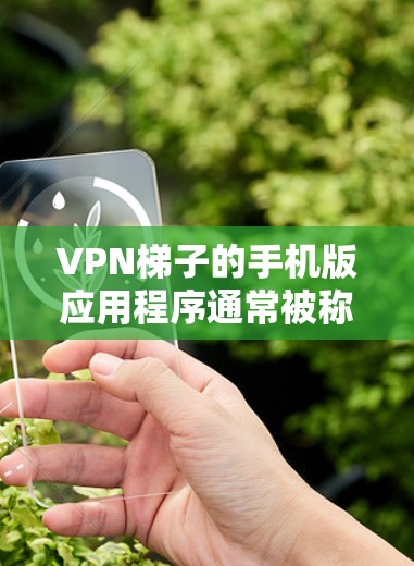 VPN梯子的手机版应用程序通常被称为VPN梯子,它是一种简单易用的VPN工具,旨在帮助用户在手机上分享或下载VPN服务。以下是几个常见的VPN梯子应用及其特点 VPN梯子的手机版应用程序通常被称为VPN梯子,它是一种简单易用的VPN工具,旨在帮助用户在手机上分享或下载VPN服务。以下是几个常见的VPN梯子应用及其特点