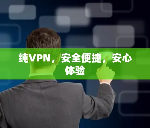 纯VPN，安全便捷，安心体验