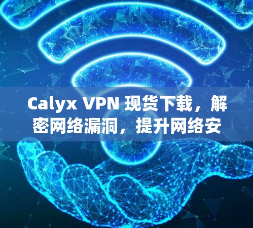 Calyx VPN 现货下载，解密网络漏洞，提升网络安全