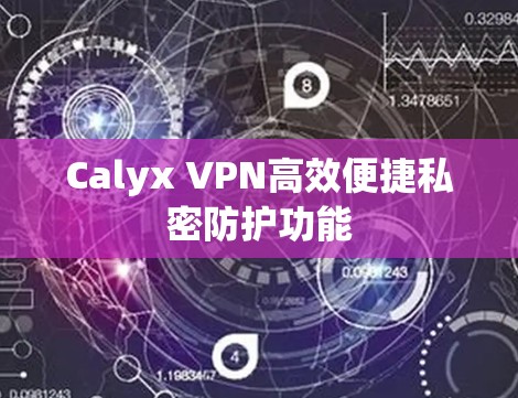Calyx VPN高效便捷私密防护功能