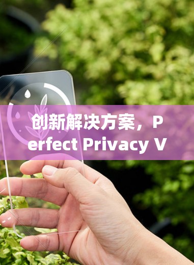 创新解决方案，Perfect Privacy VPN电脑版