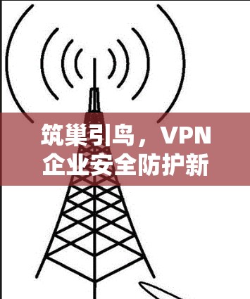 筑巢引鸟，VPN企业安全防护新策略