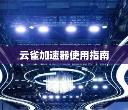 云雀加速器使用指南