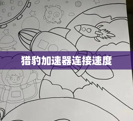 猎豹加速器连接速度
