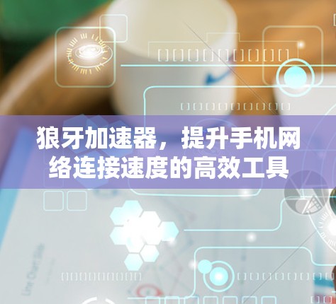狼牙加速器,提升手机网络连接速度的高效工具