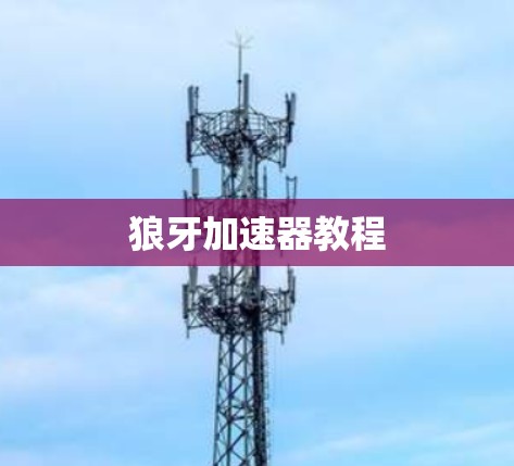 狼牙加速器教程 狼牙加速器教程