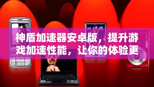 神盾加速器安卓版,提升游戏加速性能,让你的体验更流畅