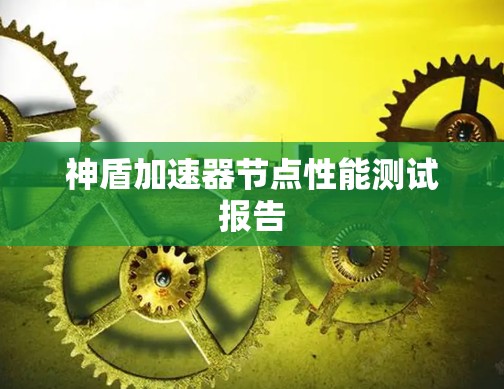 神盾加速器节点性能测试报告