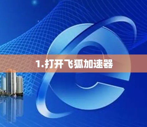 1.打开飞狐加速器