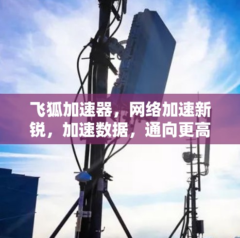 飞狐加速器，网络加速新锐，加速数据，通向更高速度