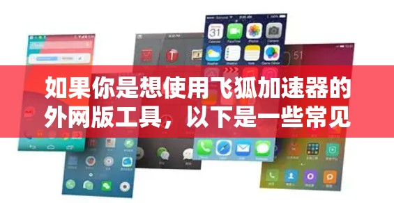 如果你是想使用飞狐加速器的外网版工具，以下是一些常见的功能和使用方法，供你参考