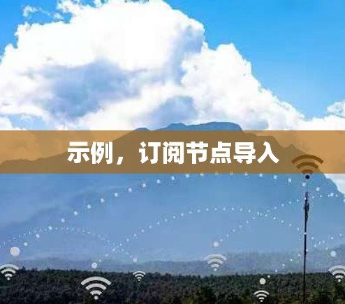 示例，订阅节点导入