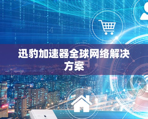 迅豹加速器全球网络解决方案
