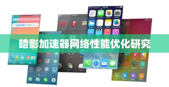 暗影加速器网络性能优化研究