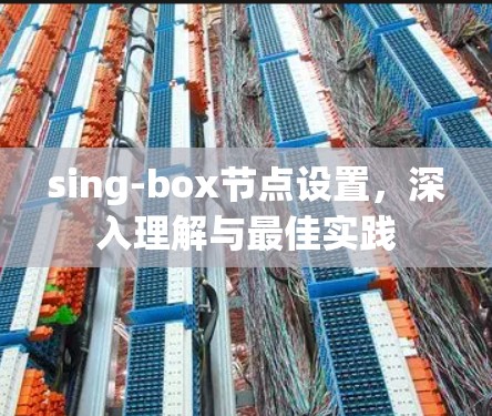 sing-box节点设置,深入理解与最佳实践
