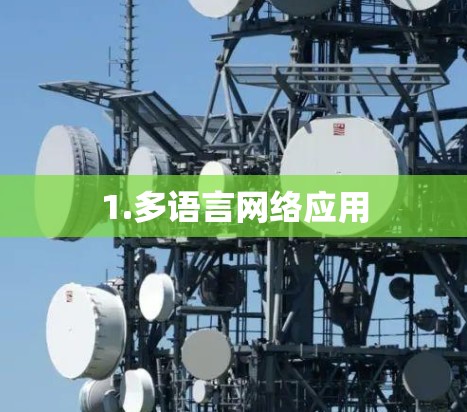 1.多语言网络应用