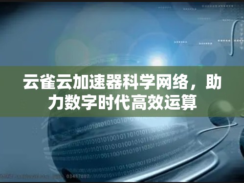 云雀云加速器科学网络，助力数字时代高效运算