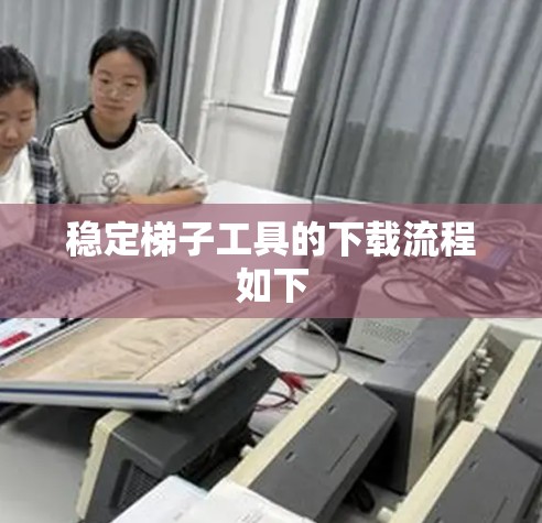 稳定梯子工具的下载流程如下