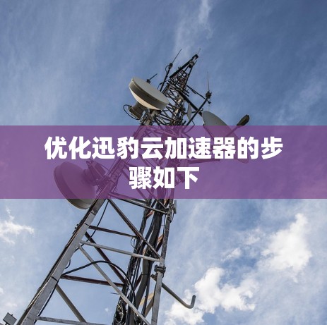 优化迅豹云加速器的步骤如下