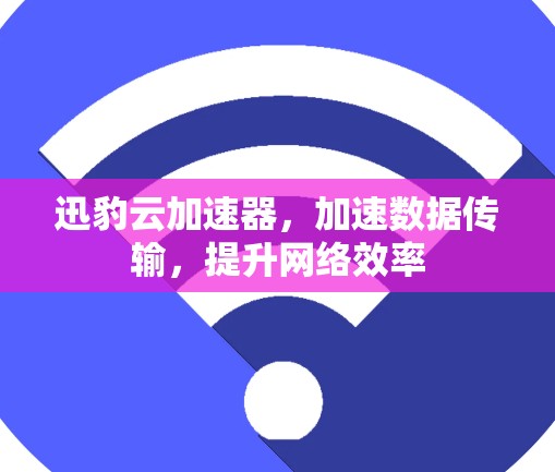 迅豹云加速器,加速数据传输,提升网络效率