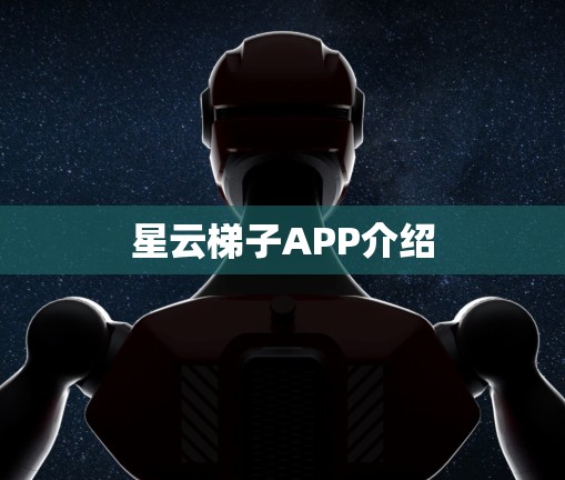 星云梯子APP介绍