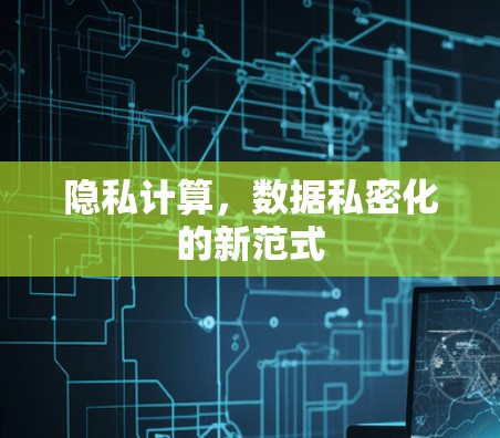 隐私计算，数据私密化的新范式