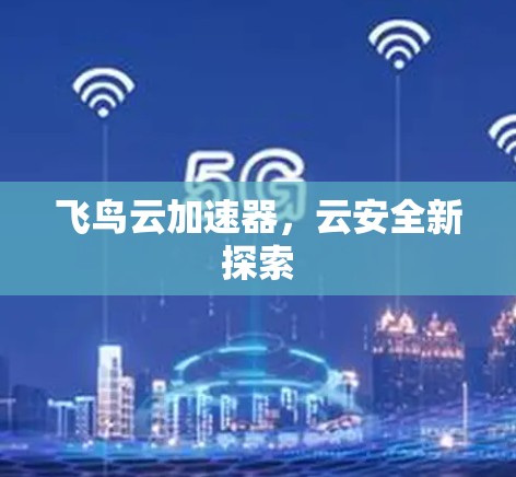 飞鸟云加速器，云安全新探索