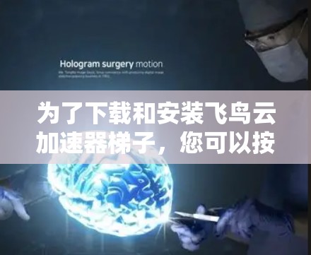 为了下载和安装飞鸟云加速器梯子,您可以按照以下步骤进行操作