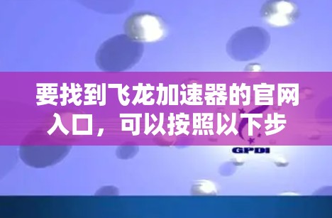 要找到飞龙加速器的官网入口，可以按照以下步骤进行