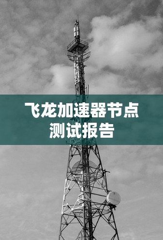 飞龙加速器节点测试报告