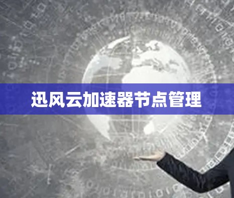 迅风云加速器节点管理