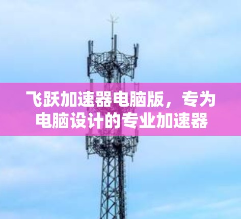 飞跃加速器电脑版，专为电脑设计的专业加速器