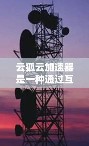 云狐云加速器是一种通过互联网加速下载的软件，通常用于提高视频和文件的下载速度。关于云狐云加速器在国际线路上的表现，以下是一些关键点