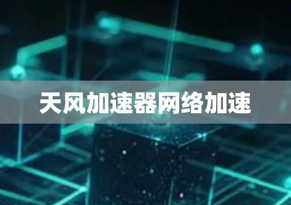 天风加速器网络加速