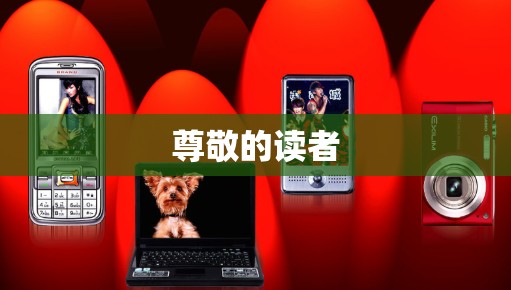 尊敬的读者