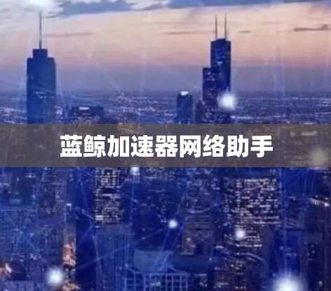 蓝鲸加速器网络助手