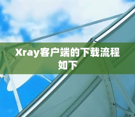 Xray客户端的下载流程如下