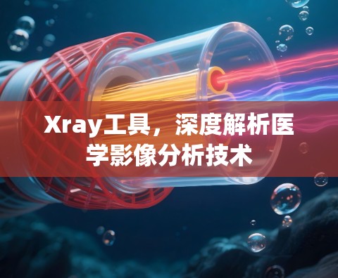 Xray工具，深度解析医学影像分析技术
