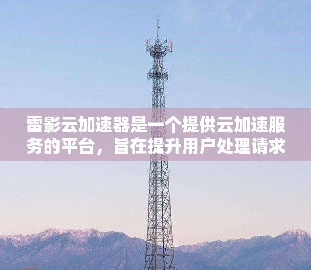 雷影云加速器是一个提供云加速服务的平台,旨在提升用户处理请求和数据的速度。以下是针对用户的需求和优化建议