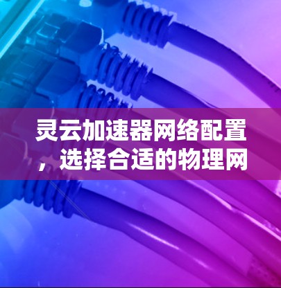 灵云加速器网络配置,选择合适的物理网络接口