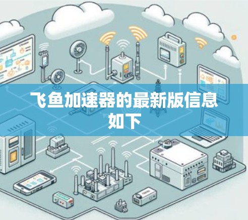 飞鱼加速器的最新版信息如下