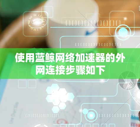 使用蓝鲸网络加速器的外网连接步骤如下