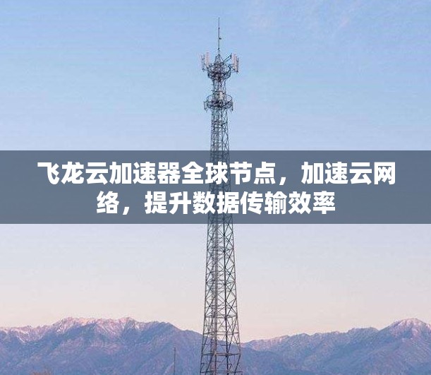 飞龙云加速器全球节点,加速云网络,提升数据传输效率