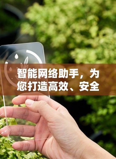 智能网络助手,为您打造高效、安全的网络服务
