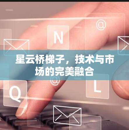 星云桥梯子，技术与市场的完美融合