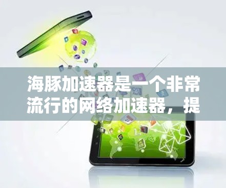 海豚加速器是一个非常流行的网络加速器,提供多种网络选择和个性化设置,帮助用户快速连接到主流网络,提升网页和视频观看体验。以下是一些推荐的节点类型和平台,供您参考